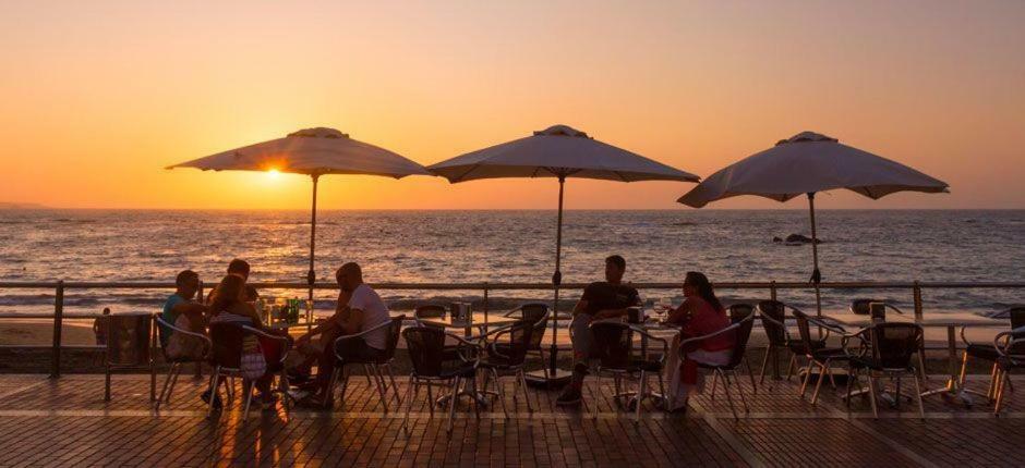 Apartamento Michele Las Palmas de Gran Canaria Exteriör bild
